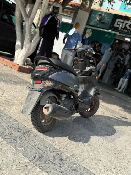 Coxi 2 2024