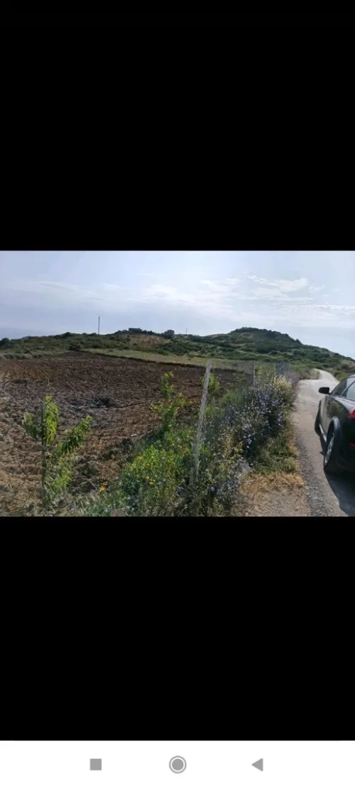 Vente Terrain Béjaïa Bejaia