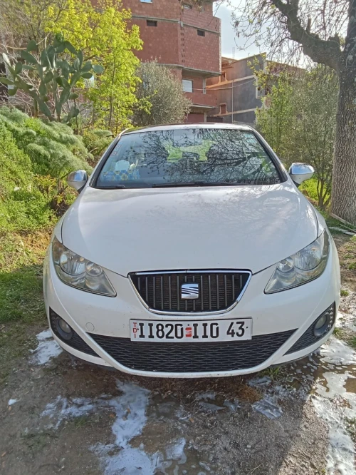 Seat Ibiza 2010 Loca