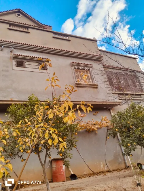 Vente Villa Mascara Ain fekan