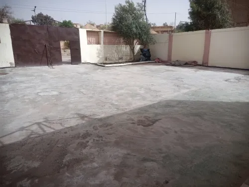 Location Hangar Saïda Saida