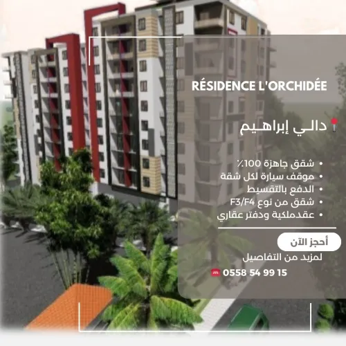 Vente Appartement F4 Alger Dely brahim
