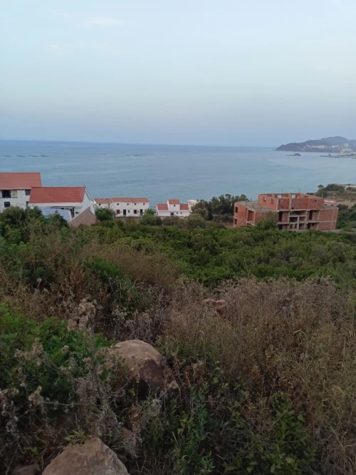 Vente Terrain Tizi Ouzou Tigzirt