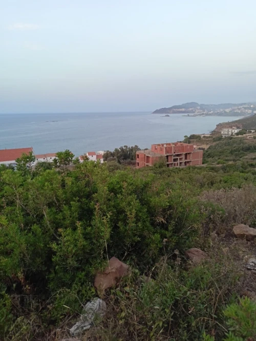 Vente Terrain Tizi Ouzou Tigzirt