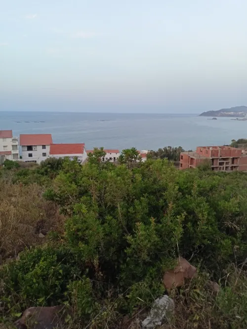 Vente Terrain Tizi Ouzou Tigzirt