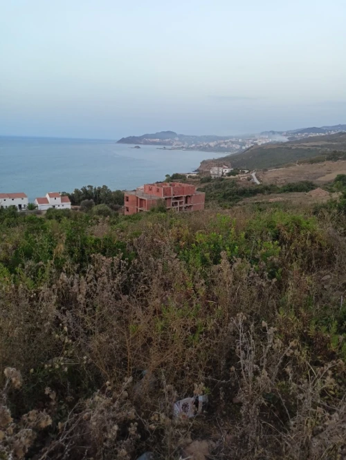 Vente Terrain Tizi Ouzou Tigzirt