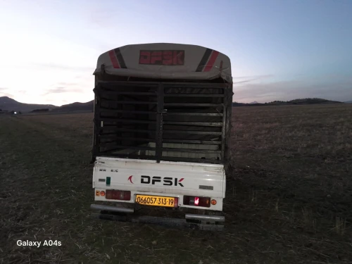 DFSK Mini TRUk 2013
