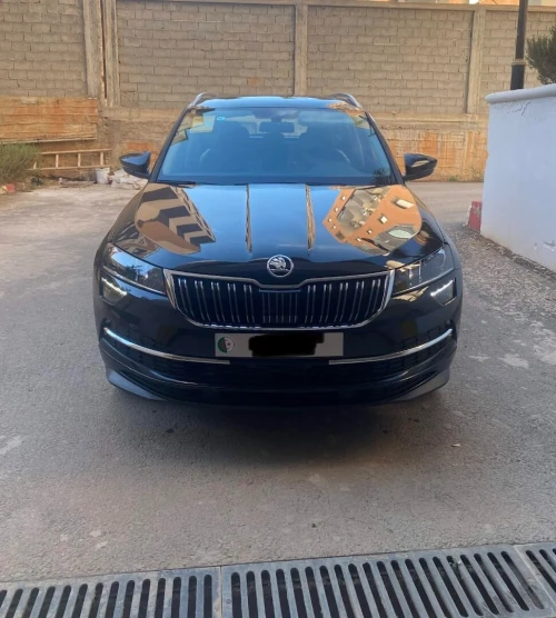 Skoda Karoq 2025 Full options
