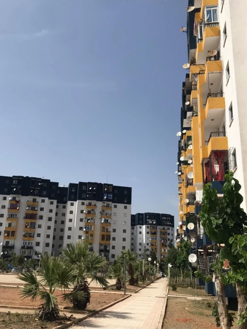 Vente Appartement F3 Blida Soumaa