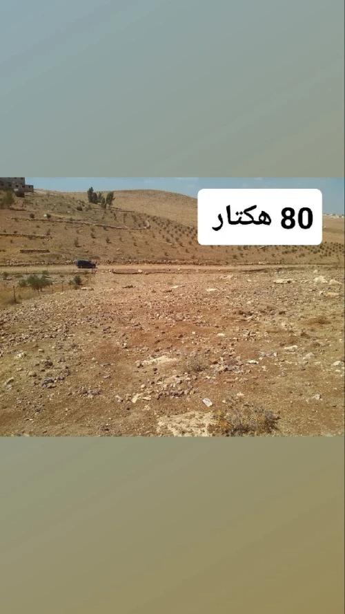 Vente Terrain Tlemcen Maghnia