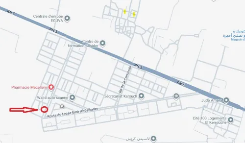 Location Local Alger Reghaia