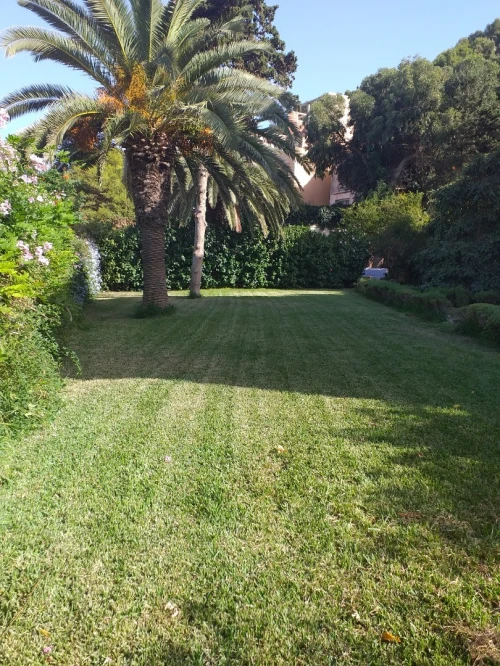 Vente Villa Alger Hammamet
