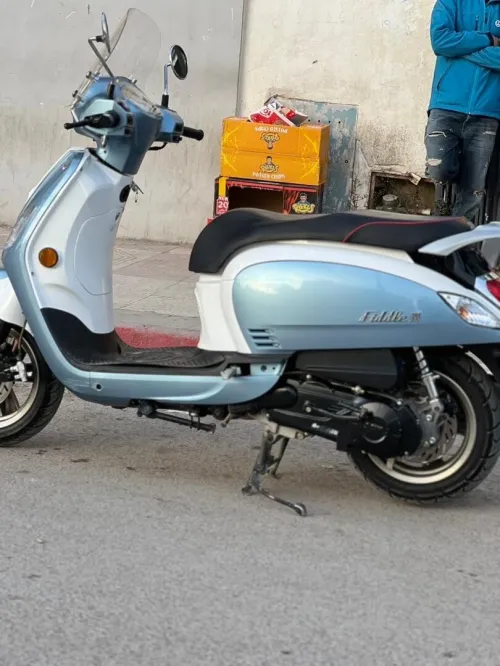FidaL3 FidaL3 2021