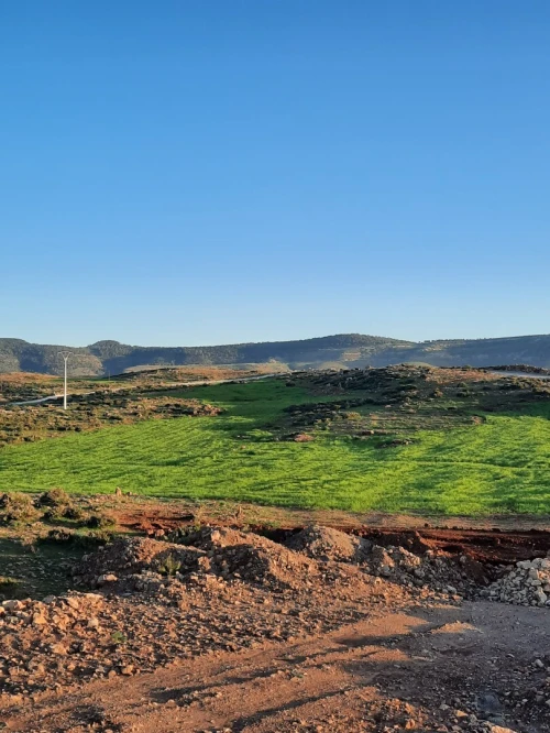 Vente Terrain Agricole Tiaret Tiaret