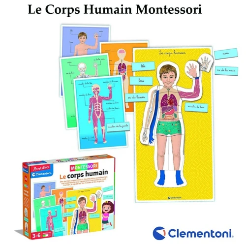 Le Corps Humain Montessori  Clementoni