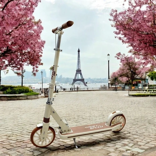 Trottinette pour adults