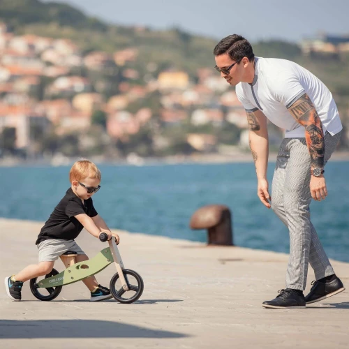 Tricycle en Bois 2-en-1  Free ON
