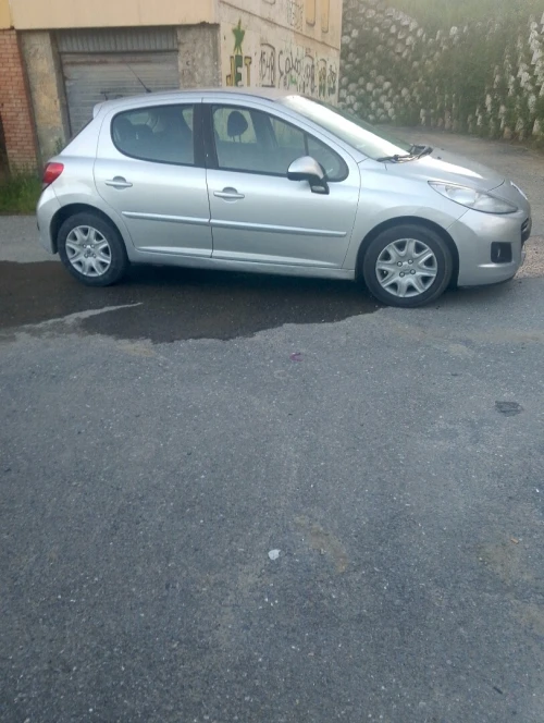 Peugeot 207 2012 Fennec