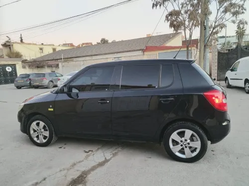 Skoda Fabia 2013 Fresh