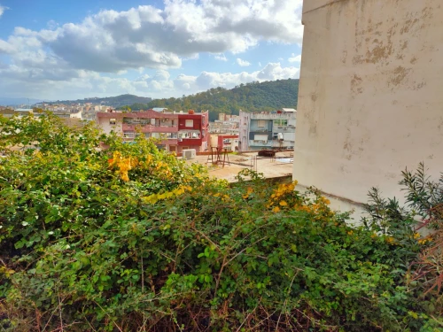 Vente Terrain Annaba Annaba