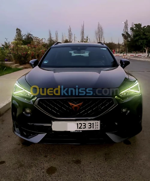 Seat Cupra  2023 Formentor