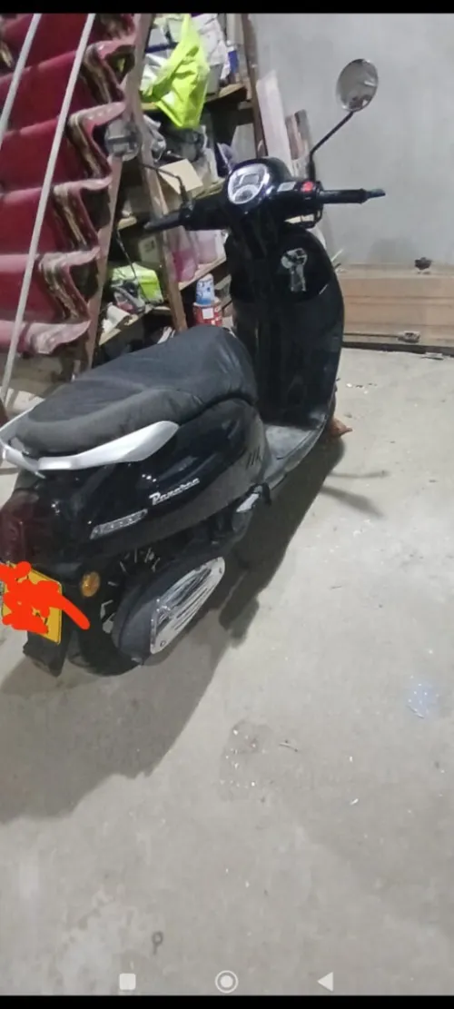 benelli panarea 2022