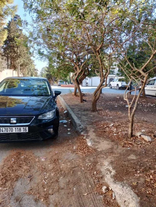 Seat Ibiza 2018 Ibiza