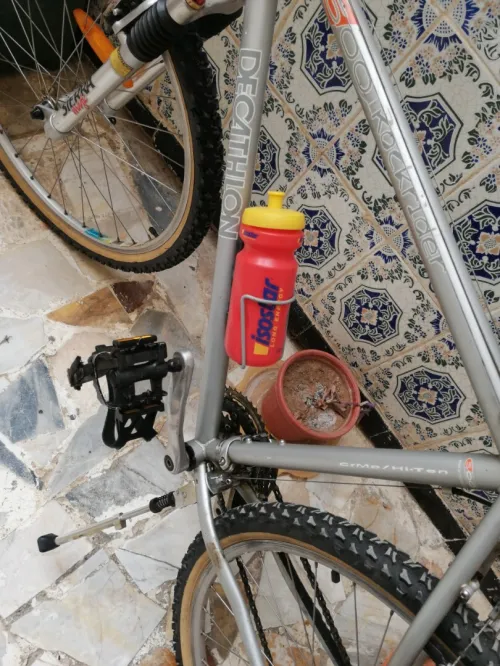 vélo vtt rockrider 500
