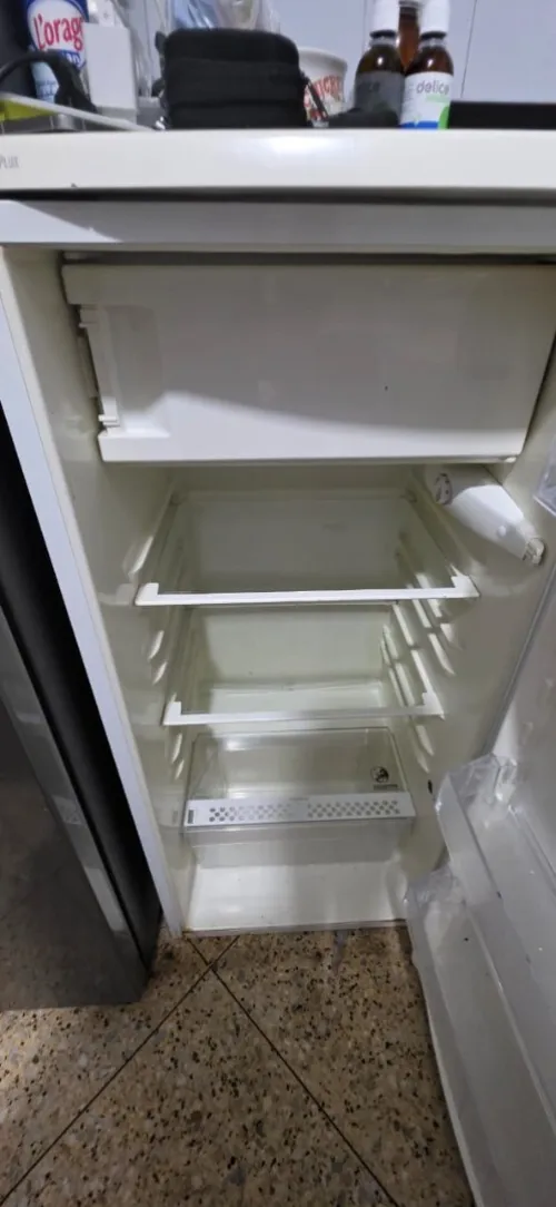 frigo