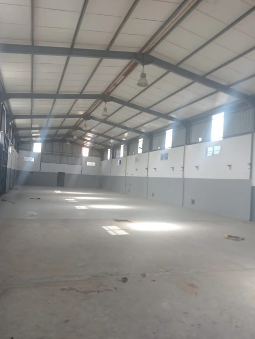 Location Hangar - Usine Alger Les eucalyptus