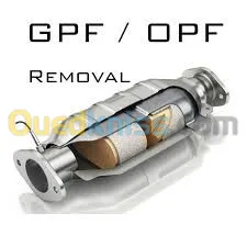 SERVICE SUPPRESSION ANTIPOLLUTION (OPF/GPF 0.9-1.0-1.2-1.3 TCE) RENAULT Master SID321(2.3DCI)