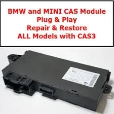 service de clonage/programmation modules BSI/BSM/UCH/BCM/BCM2/BCM3/KVM/SAM/FRM2-3/CAS2-3-4/FEM/BDC multimarques