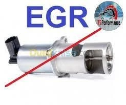 SERVICE Suppression FAP-ADBLUE-EGR-SONDE O2-SPEED LIMIT-HOT/COLD FIX-START/STOP.....