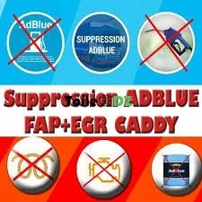 SERVICE Suppression FAP-ADBLUE-EGR-SONDE O2-SPEED LIMIT-HOT/COLD FIX-START/STOP.....