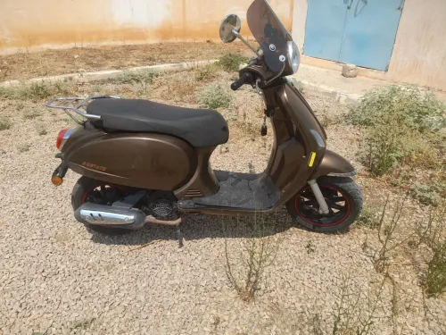SAM Sam classic 2021