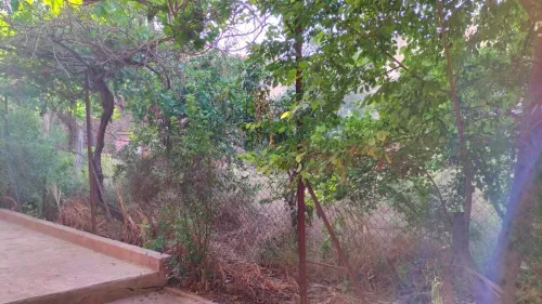 Vente Villa Oran Arzew
