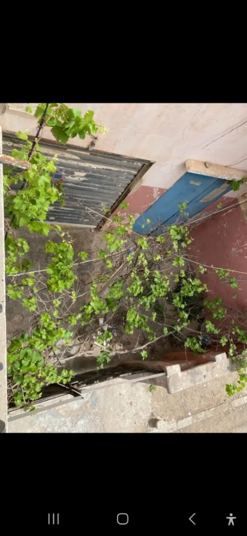 Vente Villa Oran Oran