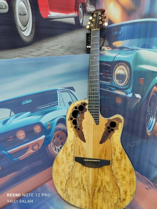 02 belles guitares Ovation