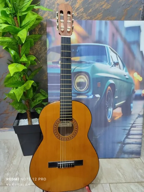12 Guitares Classique