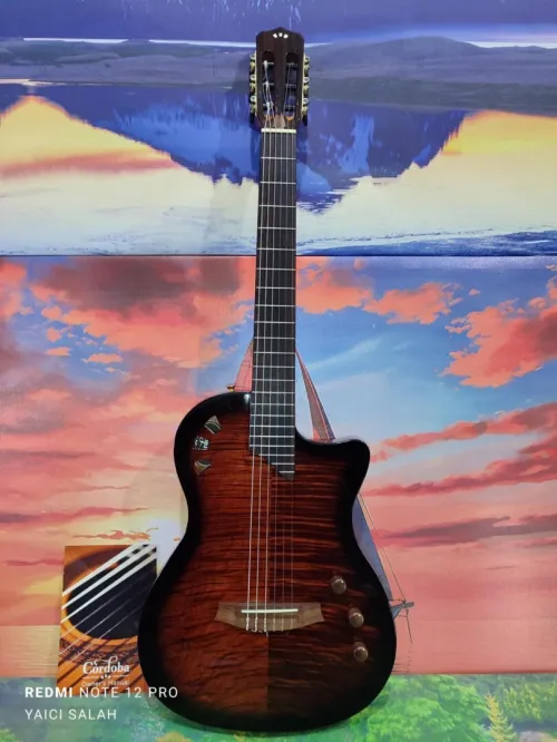 Guitare Cordoba stage electro-classique neuve avec sa housse.