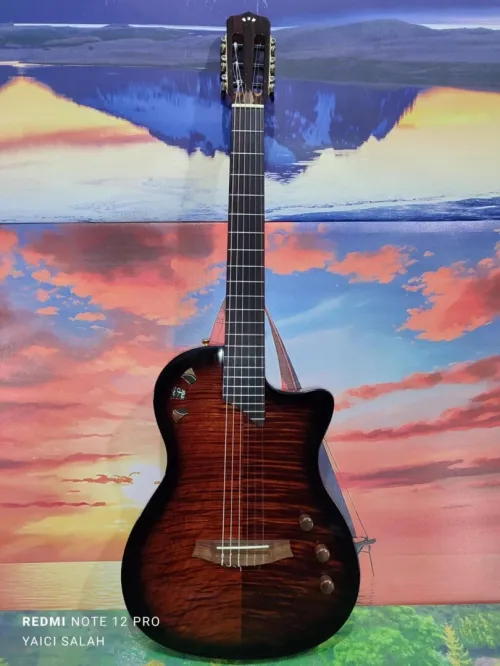  Guitare Cordoba stage electro-classique neuve avec sa housse.