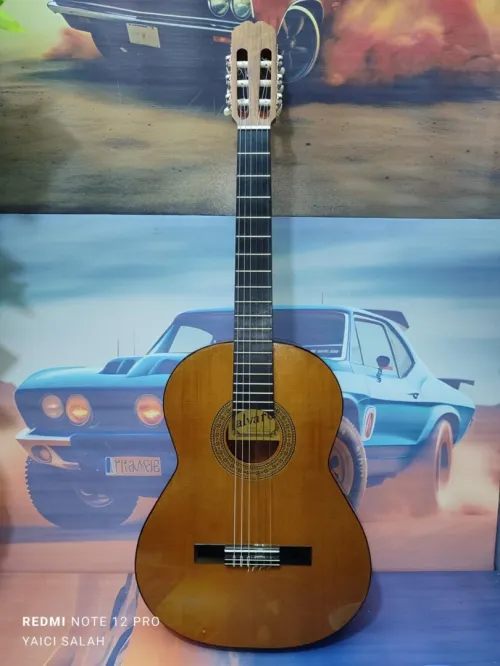 12 Guitares Classique