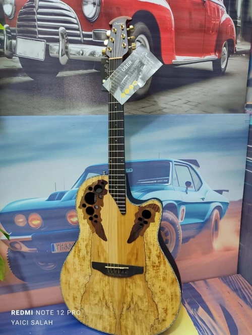 02 belles guitares Ovation