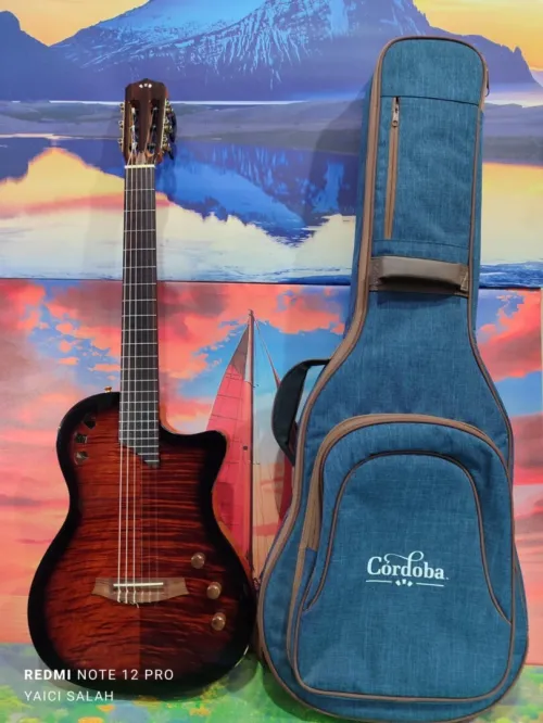  Guitare Cordoba stage electro-classique neuve avec sa housse.