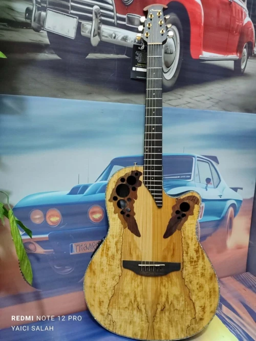 02 belles guitares Ovation