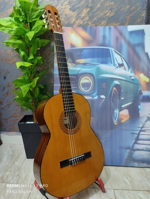 12 Guitares Classique