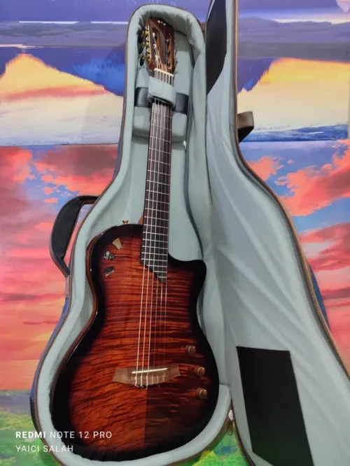  Guitare Cordoba stage electro-classique neuve avec sa housse.