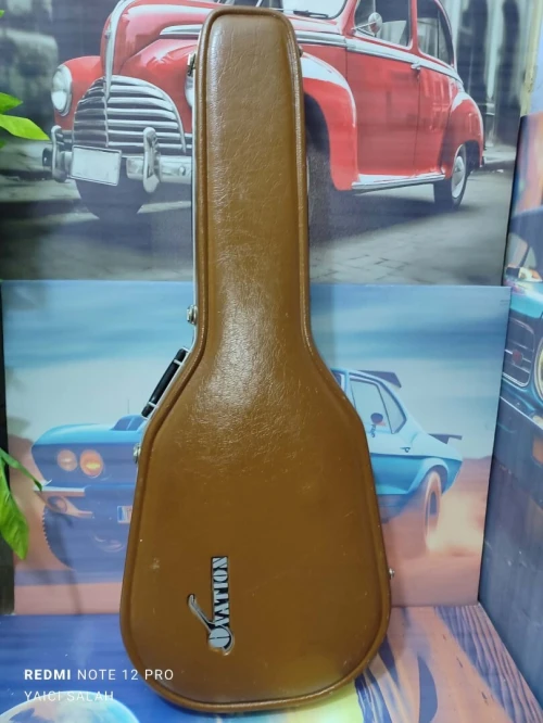 02 belles guitares Ovation