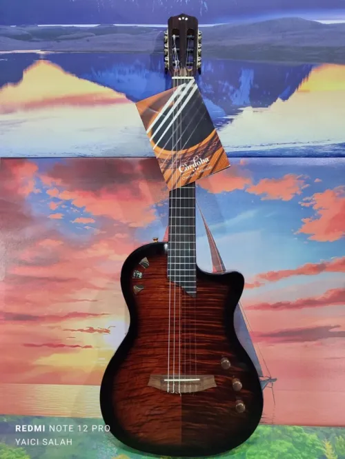  Guitare Cordoba stage electro-classique neuve avec sa housse.