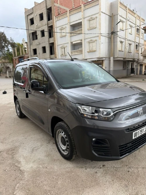 Fiat Doblo 2024 Italie professional
